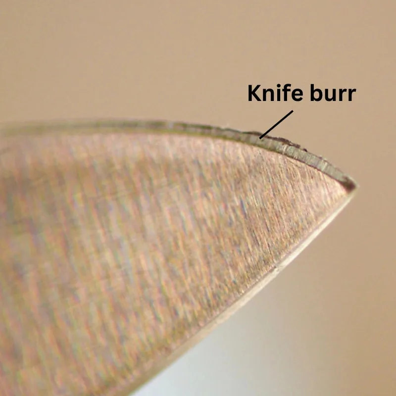 burr formation