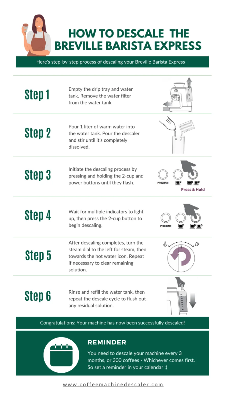 descaling process steps