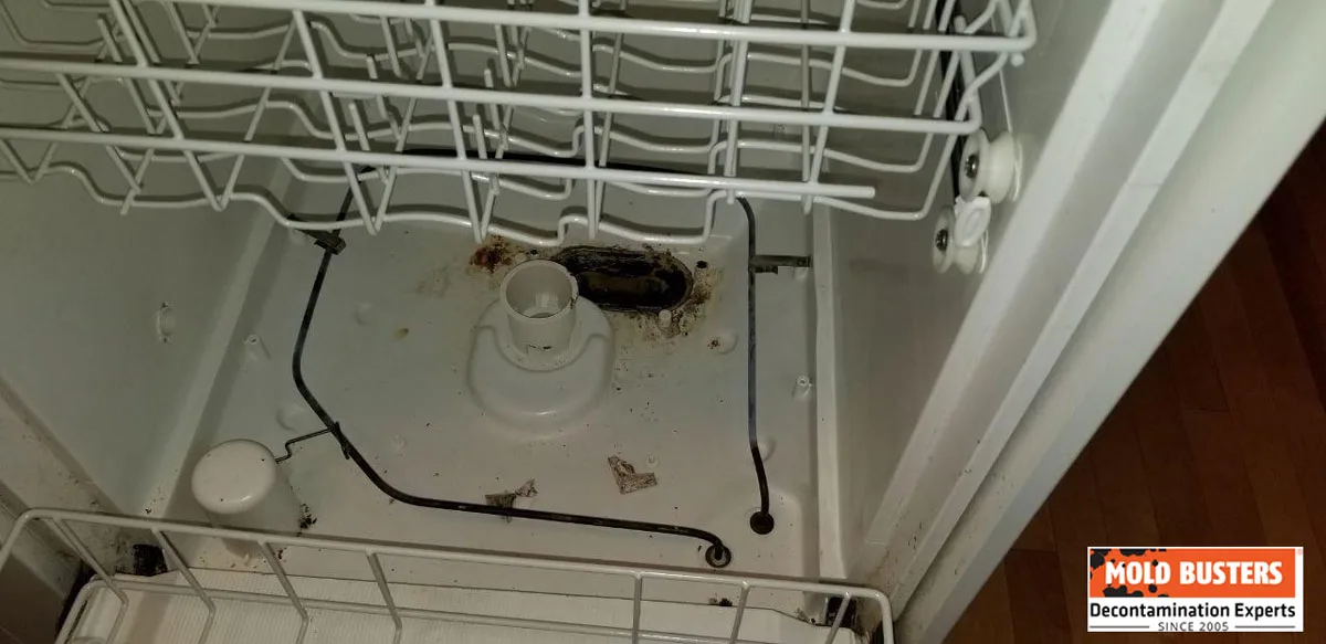 dishwasher door gasket mold