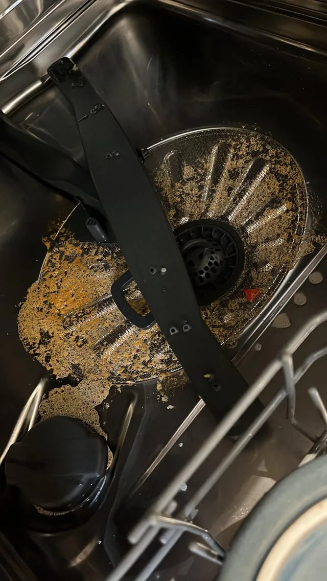 how do you deep clean your dishwasher
