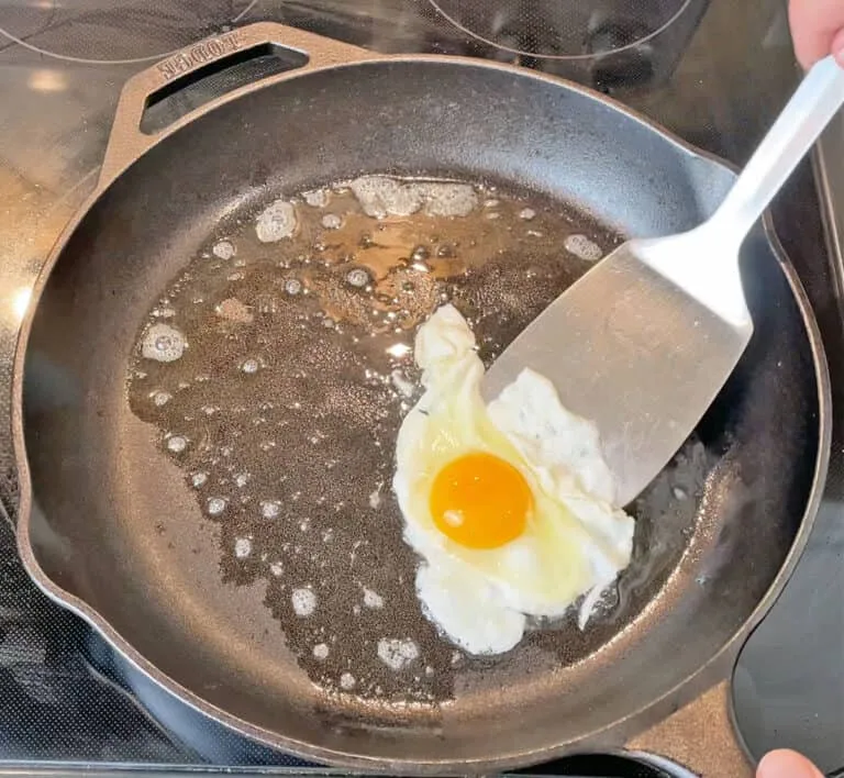 seasoned cast iron skillet