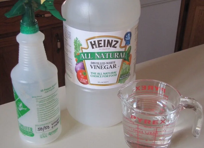 vinegar to water ratio