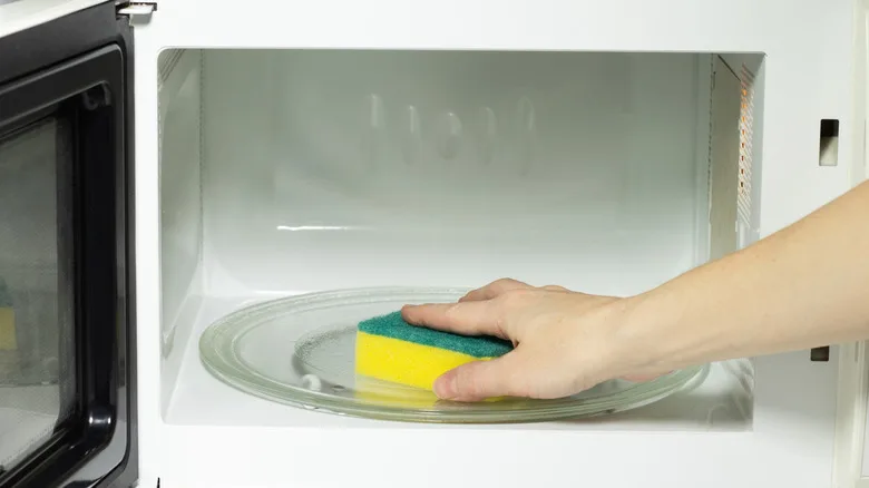 wet cellulose sponge